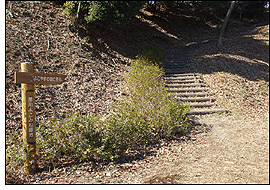 よこやまの道に至る